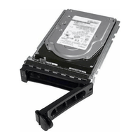 Dell 12TB 7.2K RPM 3.5" NLSAS 12Gbps Hot-Plug HDD