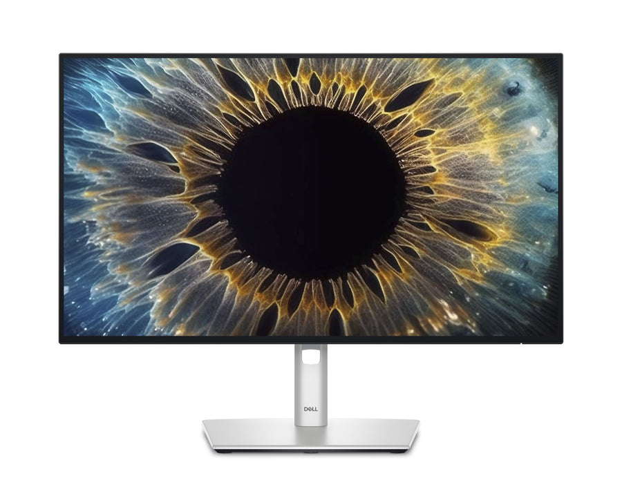 Dell U2424HE - 60.47cm (23.8") (1920x1080) FHD InfinityEdge IPS LED USB-C Hub Monitor