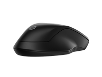 HP 255 Dual Wireless Mouse