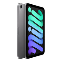 iPad mini Wi-Fi + Cellular 512GB - Space Grey,Model A2995