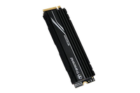 Transcend MTE250H 4TB M.2 2280 NVMe PCIe 4.0 SSD 7500/6700 MB/s with Heatsink