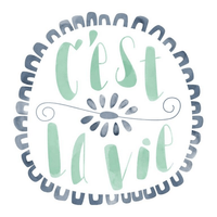 Cricut Iron On Ds Clv