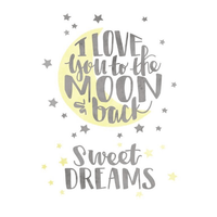 Cricut Iron On Ds Lytm