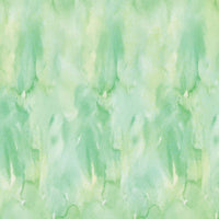 CC 2007524