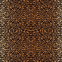 CC 2008768