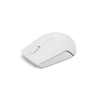 Lenovo 300 Wireless Compact Mouse (Cloud Grey) with battery