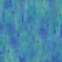 CC 2007524