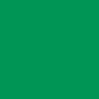 Cricut Rem Vinyl 33X366 Gr