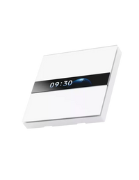 Aqara Display Switch V1 |WS-K02D