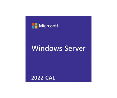 Dell Microsoft WS 2022 5CALs - User
