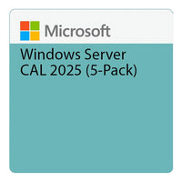 Microsoft Windows Server 2025 5-User CAL DSP Licence