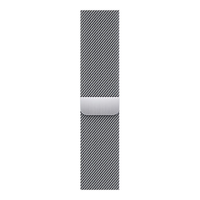 45mm Silver Milanese Loop