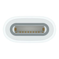 USB-C to Apple Pencil Adapter, Model A2869