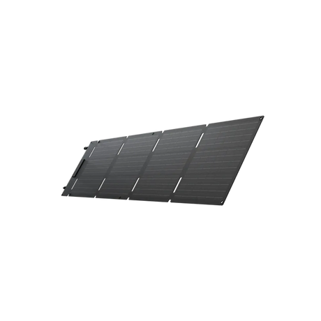 Ecoflow Solar 60W